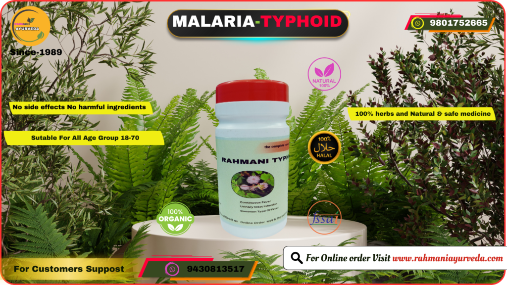 Rahmani Typhoid