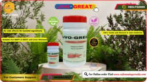 LIVO GREAT Liver Diseases