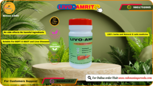LIVO AMRIT liver herbal medicine